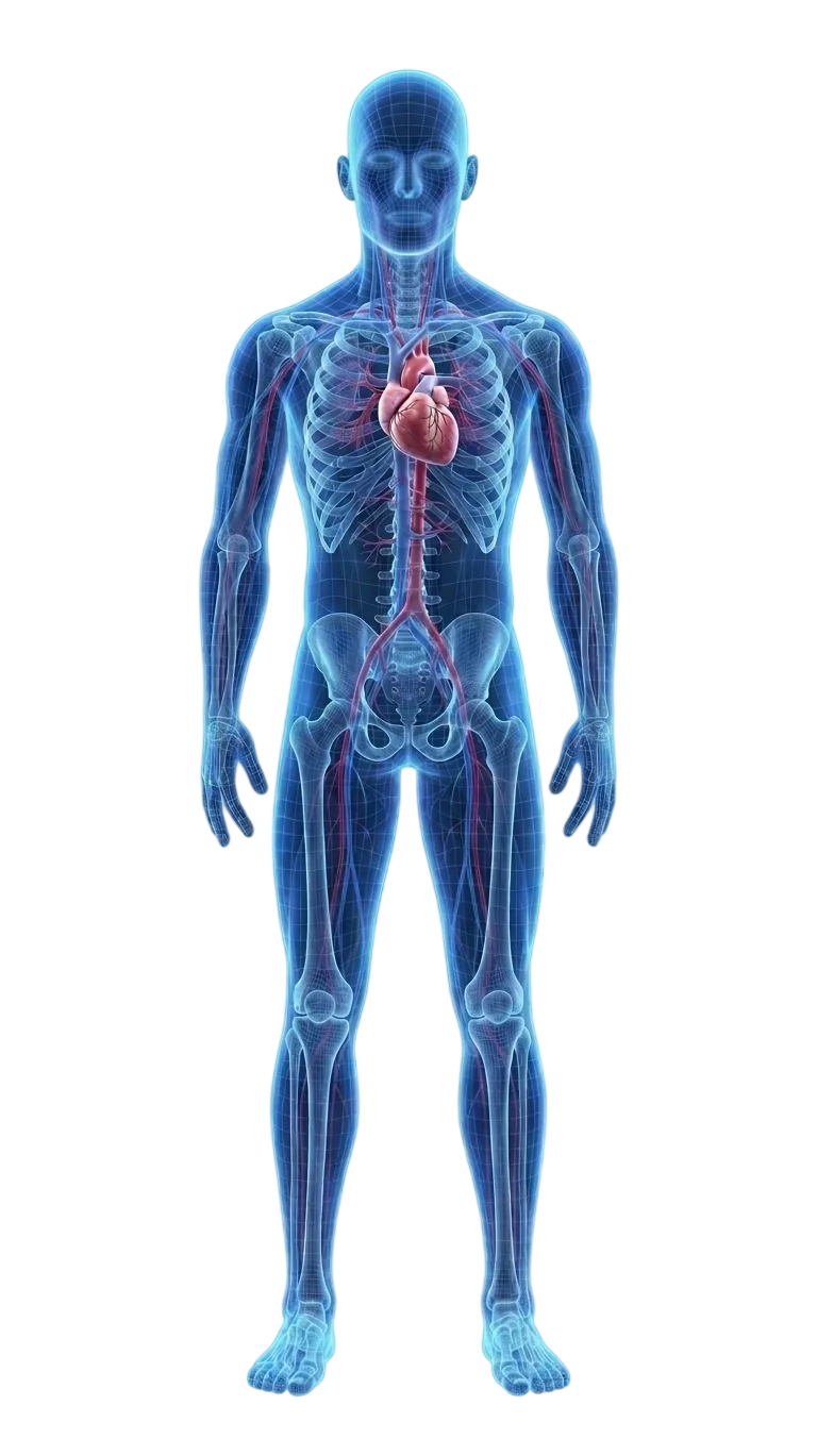 Health screening modules body map
